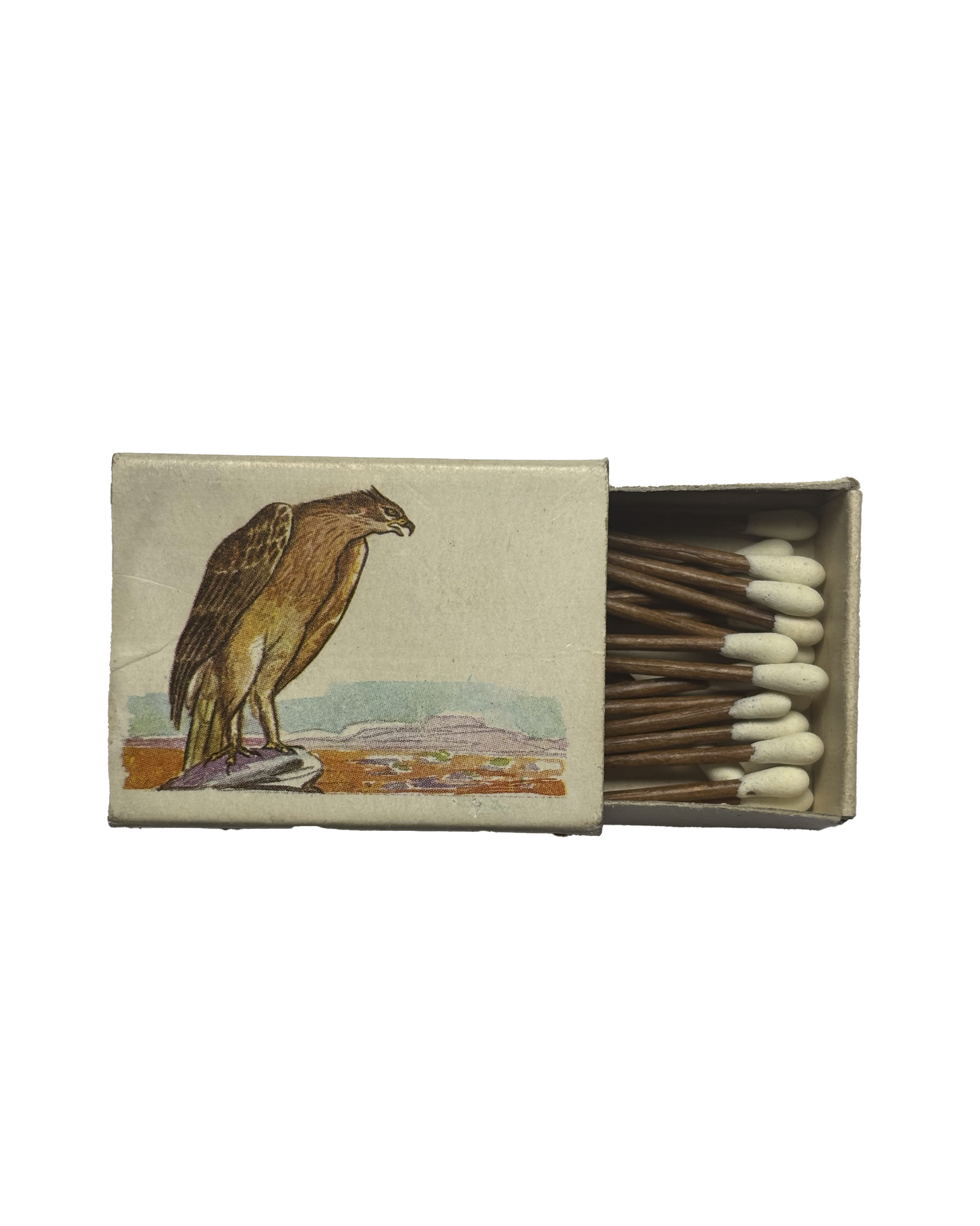 Águila perdicera (1 de 3)