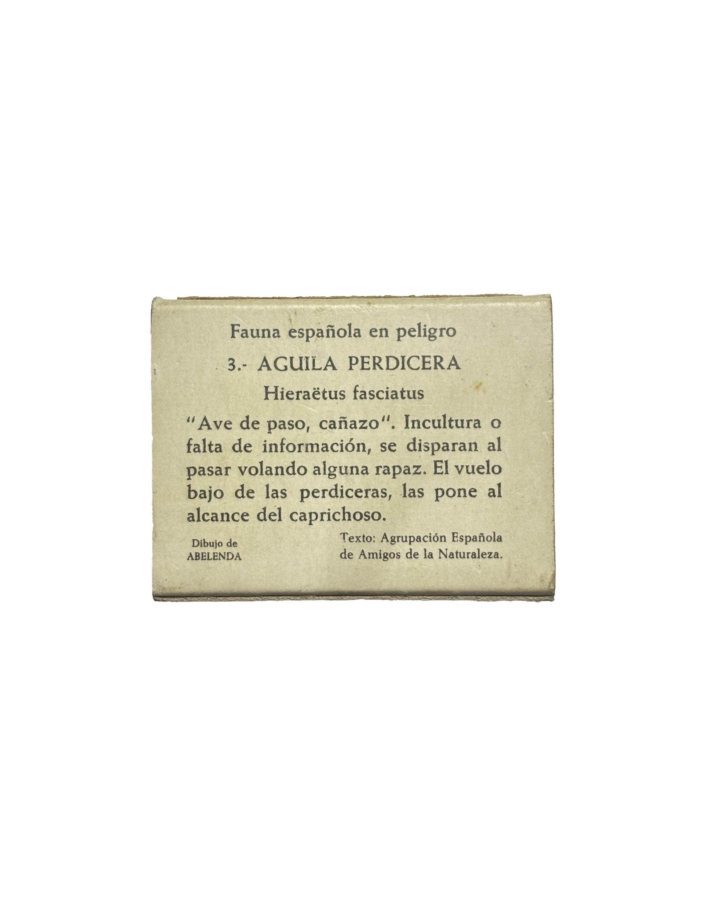 Águila perdicera (3 de 3)