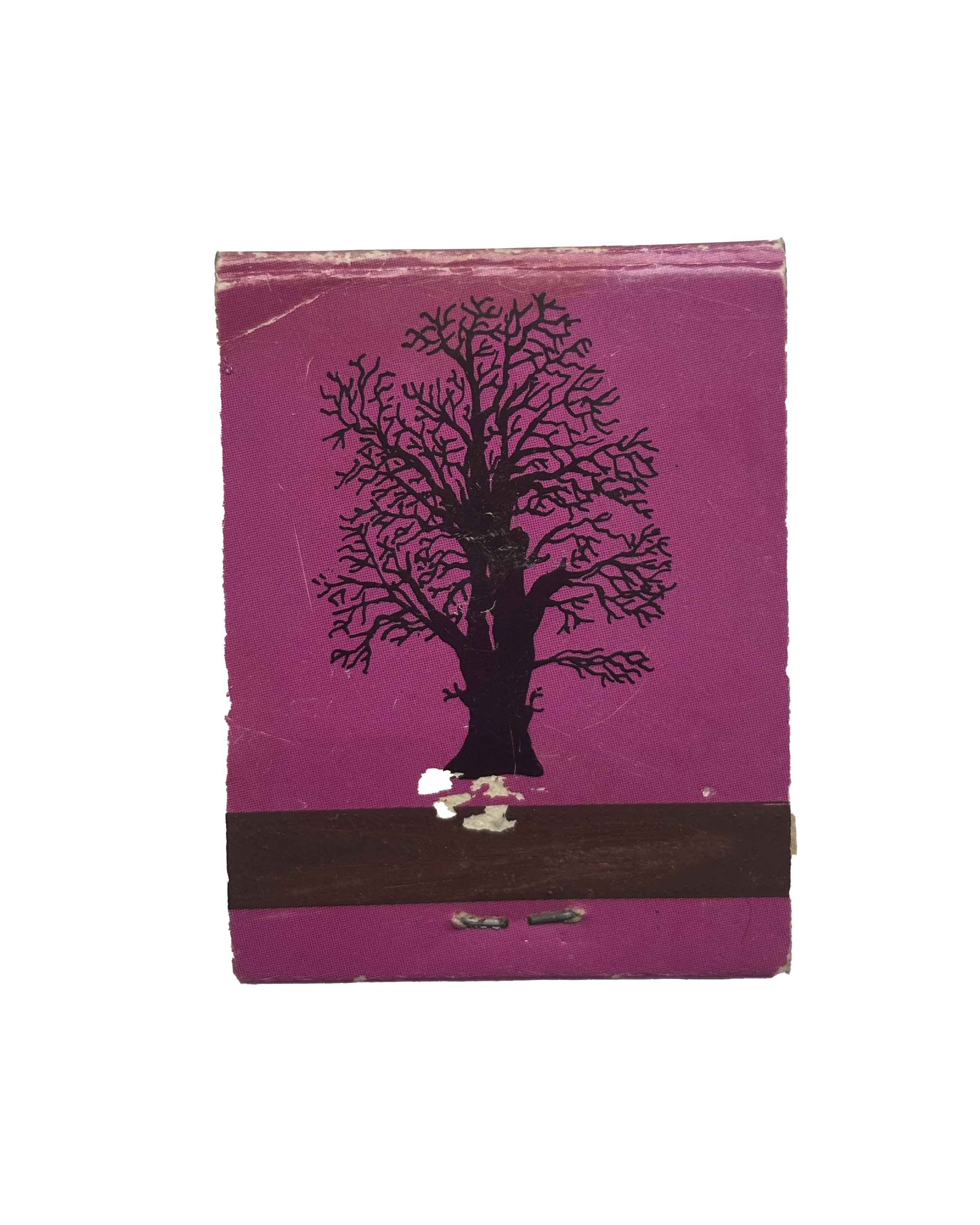 Roble (2 de 3)
