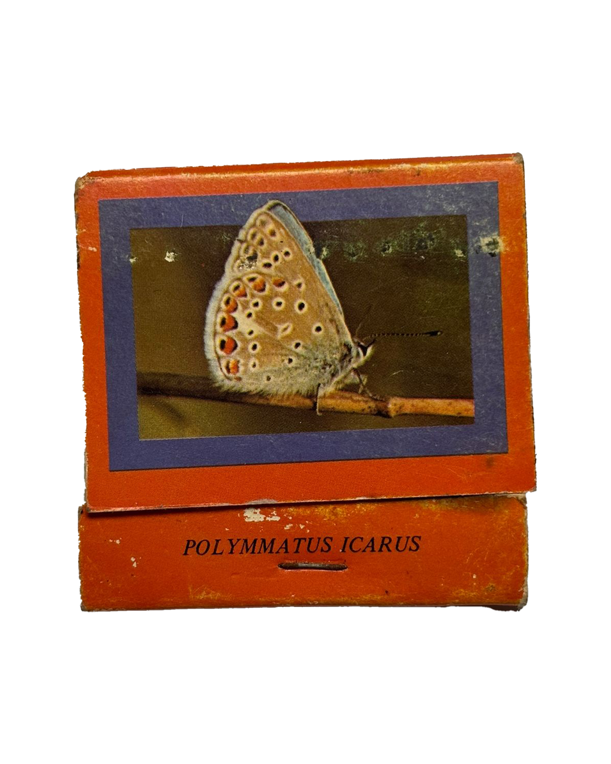 Mariposa