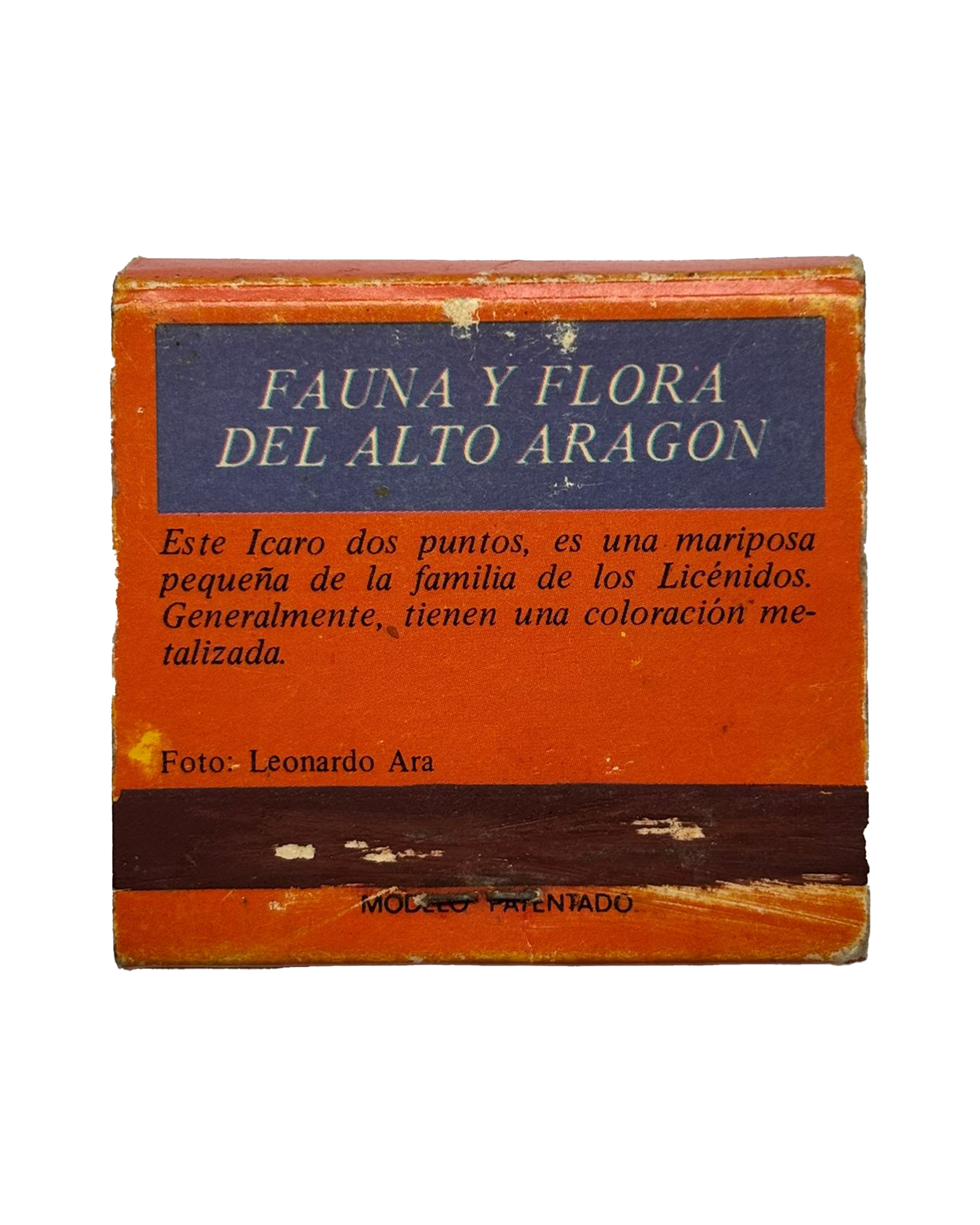 Mariposa (3 de 3)